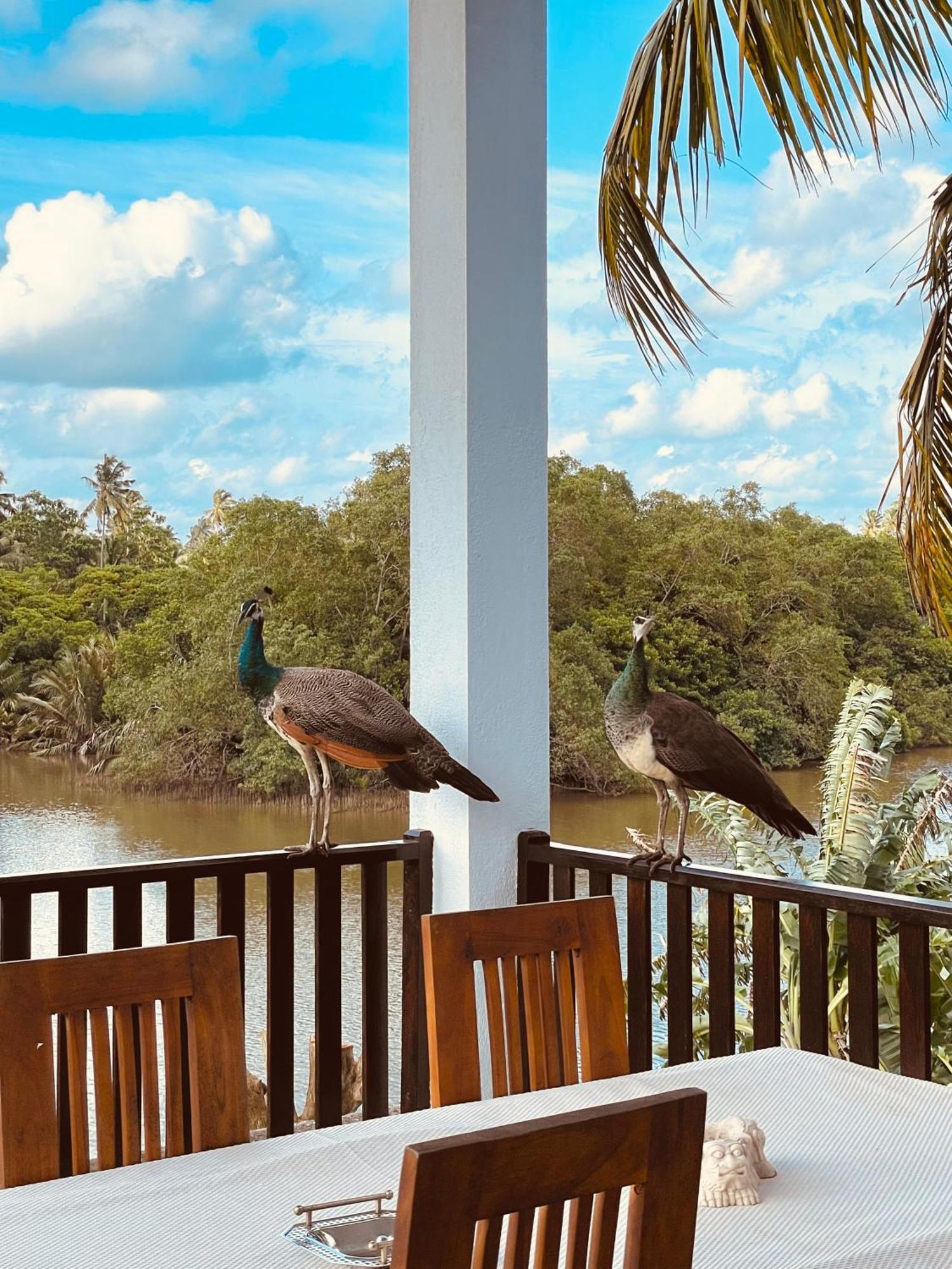 Riverwood Villa ウェリガマ エクステリア 写真
